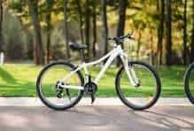 2023, Gloss Carbon/Chameleon Specialized S-Works Tarmac SL7